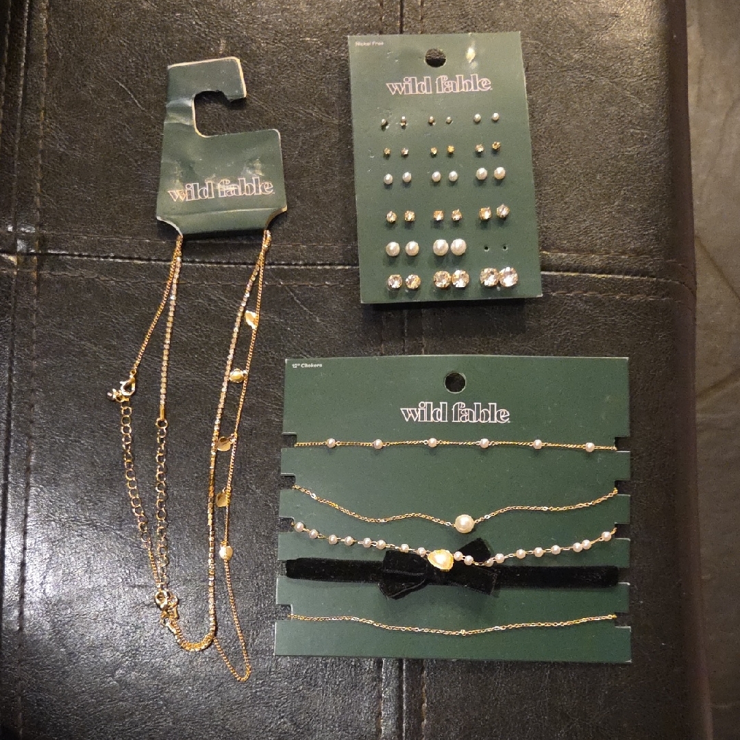 Wild Fable Gold And Silver Jewelry Set